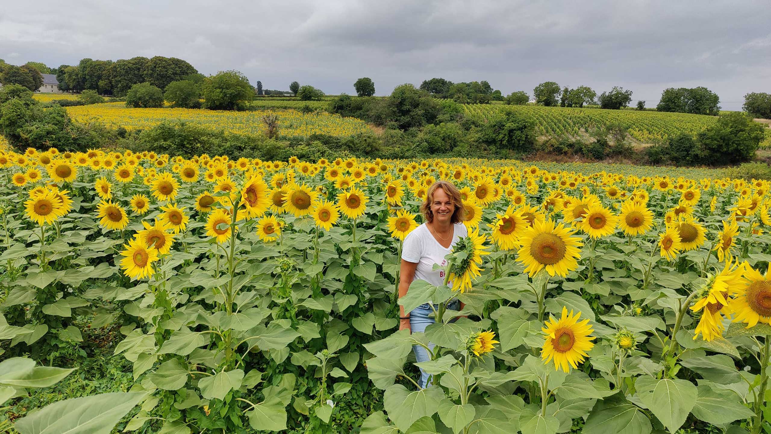 No Spang Advies | Jessica Kuipers - Mulder